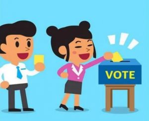 投票中心-帽帽电脑网