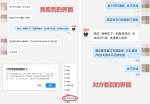 PC钉钉消息防撤回补丁-帽帽电脑网