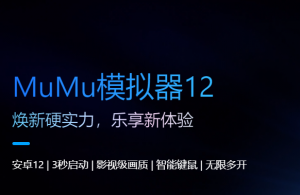 mumu模拟器 安卓模拟器-帽帽电脑网