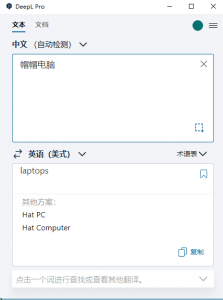 AI翻译神器DeepL Pro v2.4.0 单文件版本-帽帽电脑网