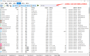 查看端口占用情况 TCPView 4.19 绿色免安装版本  中文版-帽帽电脑网