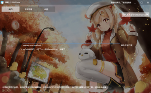 B站哔哩哔哩视频下载工具免安装版-帽帽电脑网