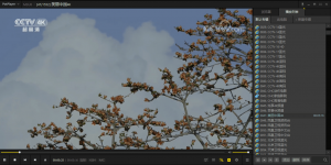 PC全能影音播放器 便携版-帽帽电脑网