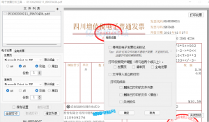 发票闪印 电子PDF发票打印工具中文绿色版-帽帽电脑网