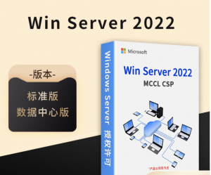 Windows server 2022服务器操作系统-帽帽电脑网