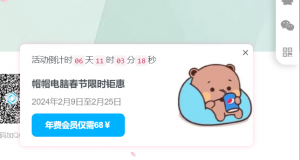 WordPress程序子比主题美化代码 – 活动弹窗悬浮广告代码-帽帽电脑网