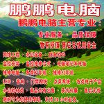 鹏鹏电脑维修监控安防的头像-帽帽电脑网