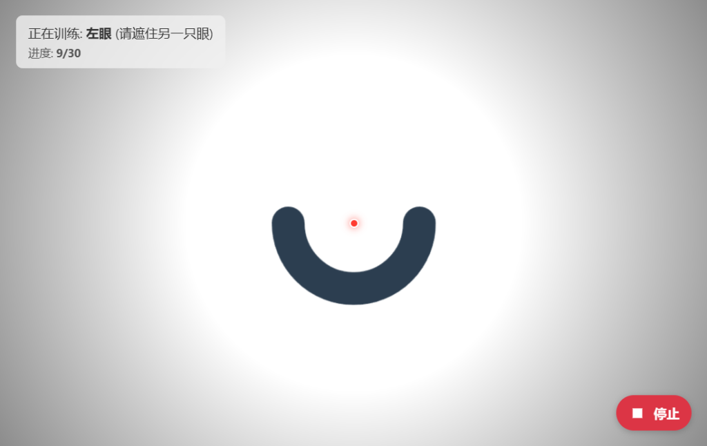 眼睛视力训练恢复训练软件-帽帽电脑网